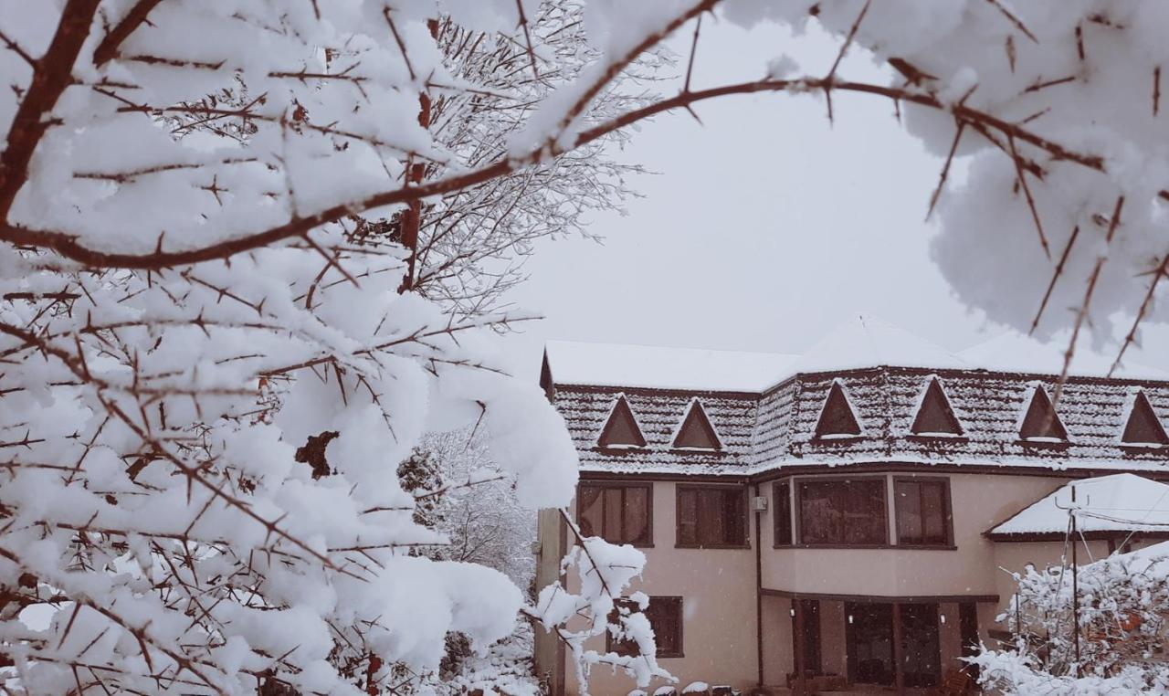 Inaisi Hotel Kutaisi Exterior foto